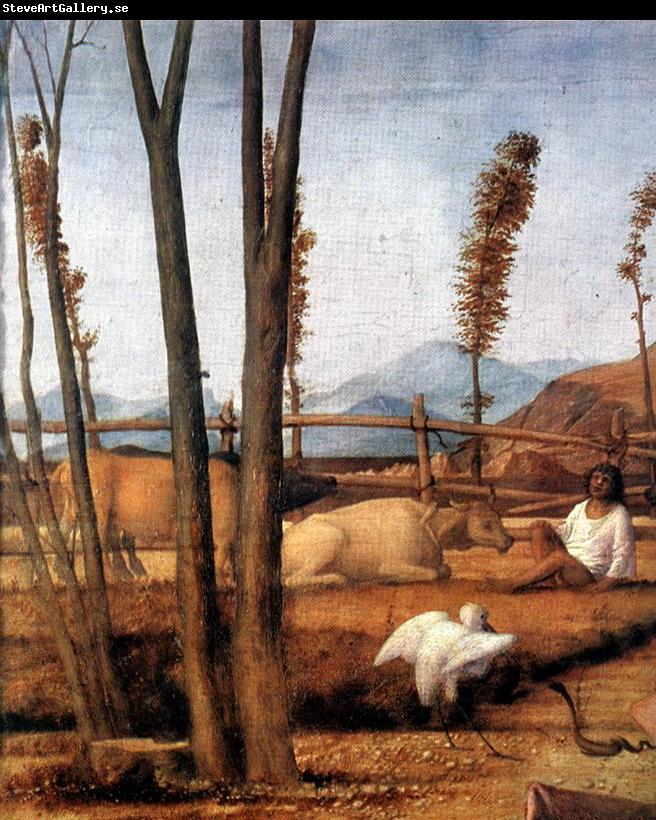 BELLINI, Giovanni Madonna of the Meadow (detail) ixtn